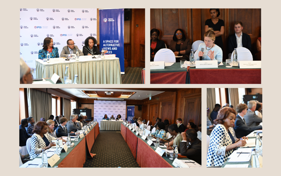 Tana Forum Ambassadors’ and Partners’ Briefing